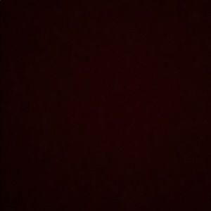 Meet your Posher, Mia